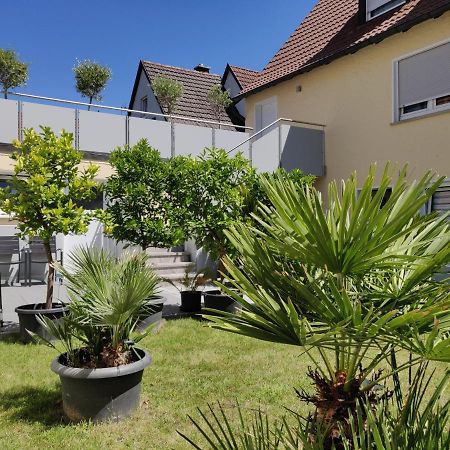 Haus Zum Schlosspark Veitshöchheim Exterior foto